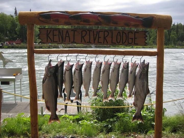 Kenai River Lodge Soldotna Dış mekan fotoğraf